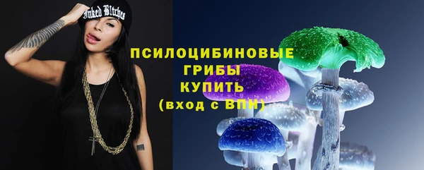 гидра Киреевск
